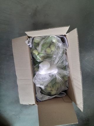 김민수산에서농사중님의 자유주제 · 자유게시판 작성글 사진