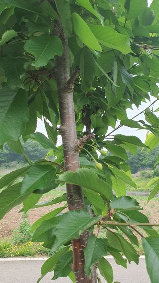 노한수님의 자유주제 · 자유게시판 작성글 사진