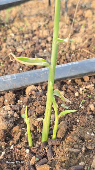 하재은님의 자유주제 · 자유게시판 작성글 사진