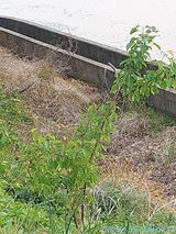 팜모닝 자유주제·자유게시판 게시글 이미지