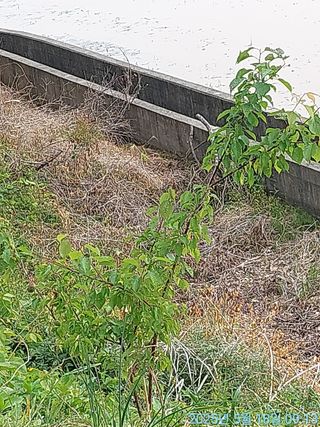 황대헌님의 자유주제 · 자유게시판 작성글 사진