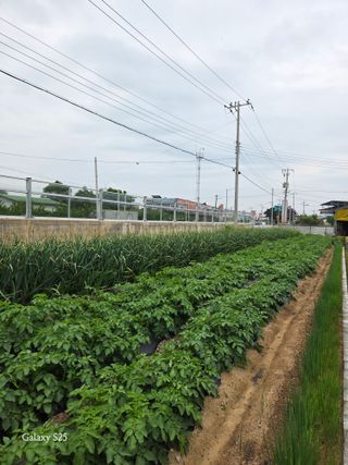 김시내 님의 자유주제 · 사진전 작성글 사진