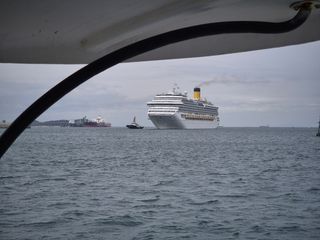 산양삼님의 자유주제 · 자유게시판 작성글 사진