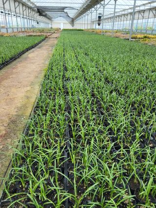 팜모닝회원 김순달 님의 자유주제 · 자유게시판 작성글 사진