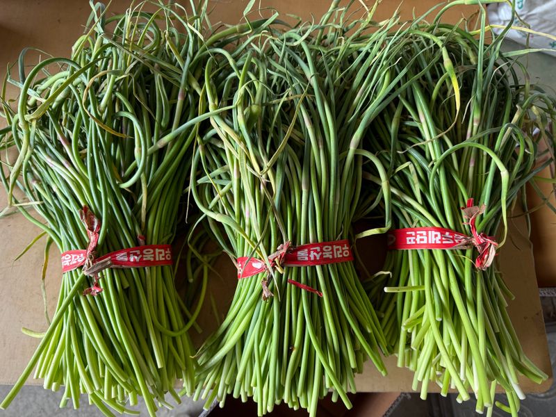 이영민님의 장터 판매 상품 [무안 마늘쫑 1kg] 첨부 사진