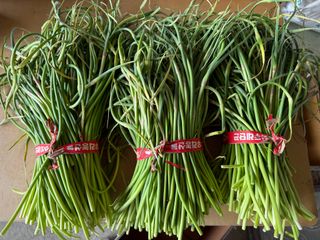 이영민님의 작성글 사진