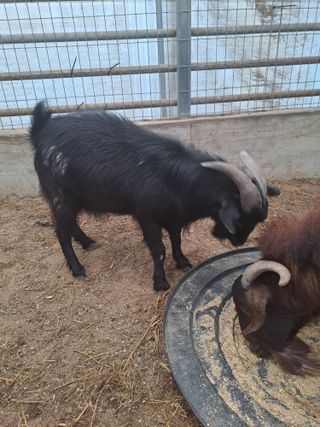 조기성님의 자유주제 · 자유게시판 작성글 사진