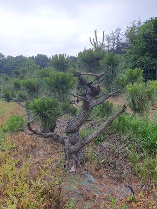 알 수 없음님의 자유주제 · 사진전 작성글 사진
