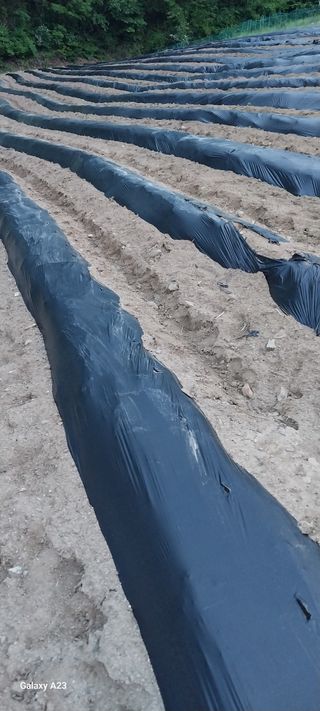 이일철 (조이산골)님의 자유주제 · 자유게시판 작성글 사진