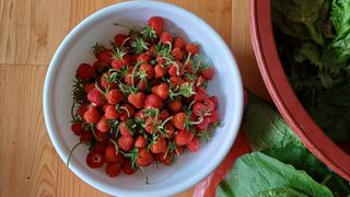 박순덕님의 자유주제 · 자유게시판 작성글 사진