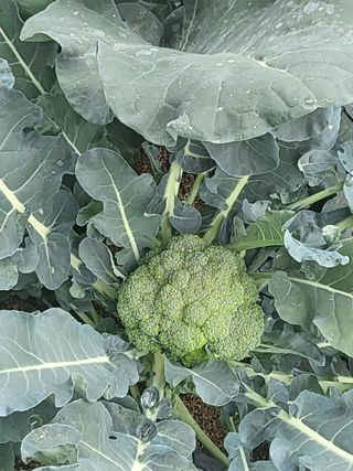 진동희님의 자유주제 · 자유게시판 작성글 사진