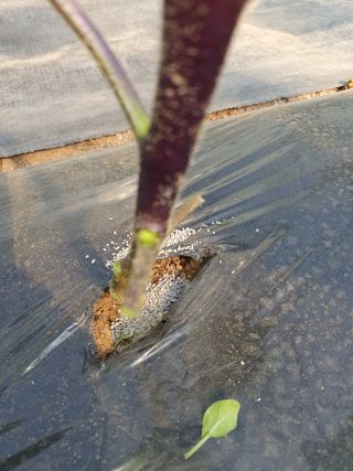 안비님의 자유주제 · 자유게시판 작성글 사진