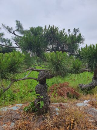 알 수 없음님의 자유주제 · 사진전 작성글 사진