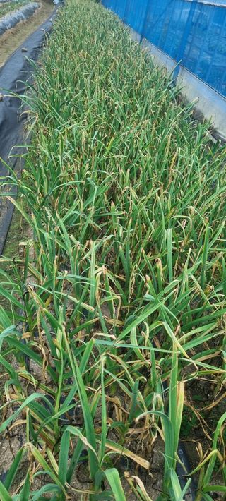 정원훈님의 자유주제 · 자유게시판 작성글 사진