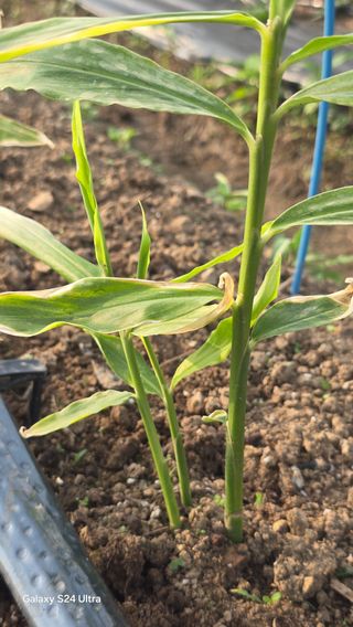 하재은님의 자유주제 · 자유게시판 작성글 사진