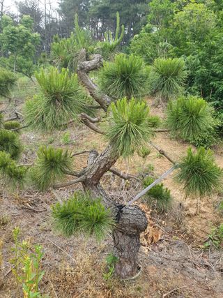 알 수 없음님의 자유주제 · 사진전 작성글 사진