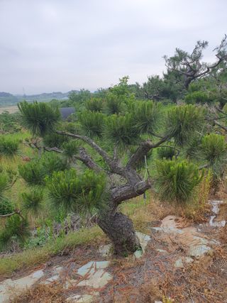 알 수 없음님의 자유주제 · 사진전 작성글 사진