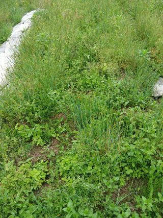 무료지식나눔 팜닥터님의 자유주제 · 자유게시판 작성글 사진