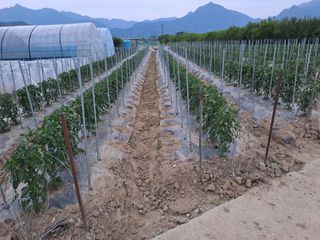 성실한 농부님의 자유주제 · 자유게시판 작성글 사진