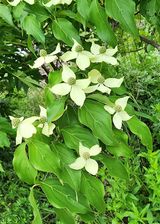 팜모닝 자유주제·자유게시판 게시글 이미지