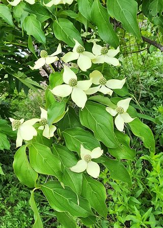 고추건조기부품판매님의 자유주제 · 자유게시판 작성글 사진