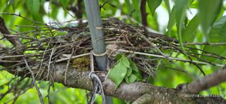 달맛햇복숭아농원님의 자유주제 · 사진전 작성글 사진
