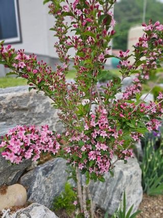 최연재님의 자유주제 · 자유게시판 작성글 사진