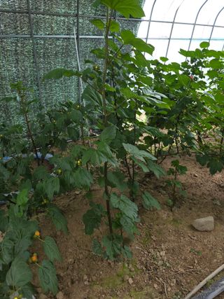 김병호님의 자유주제 · 자유게시판 작성글 사진