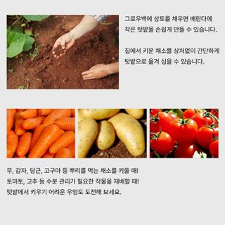 아시아종묘님의 자유주제 · 자유게시판 작성글 사진