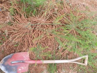 퇴근농님의 작성글 사진