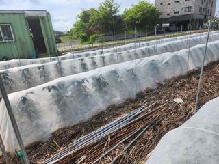 남광님의 자유주제 · 자유게시판 작성글 사진