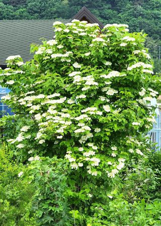 고추건조기부품판매님의 자유주제 · 자유게시판 작성글 사진