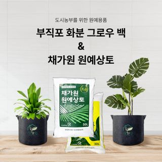 아시아종묘님의 자유주제 · 자유게시판 작성글 사진