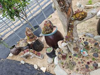 최연재님의 자유주제 · 자유게시판 작성글 사진