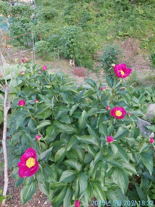 황대헌님의 자유주제 · 자유게시판 작성글 사진