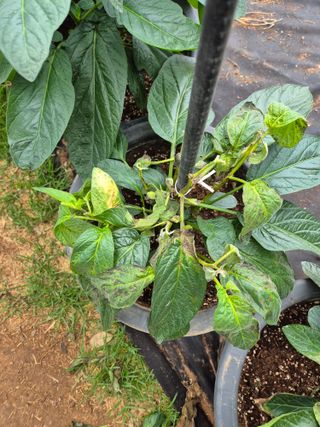 이문규님의 자유주제 · 자유게시판 작성글 사진