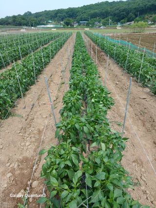 이창우님의 자유주제 · 자유게시판 작성글 사진