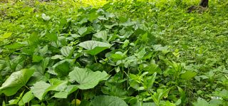 해오름달님의 자유주제 · 자유게시판 작성글 사진