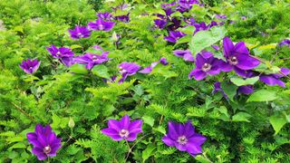 고추건조기부품판매님의 자유주제 · 자유게시판 작성글 사진