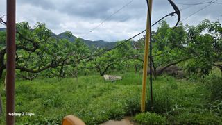 박현주님의 자유주제 · 자유게시판 작성글 사진