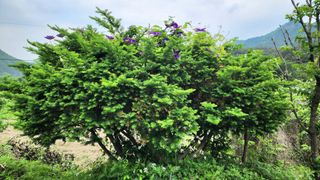 고추건조기부품판매님의 자유주제 · 자유게시판 작성글 사진