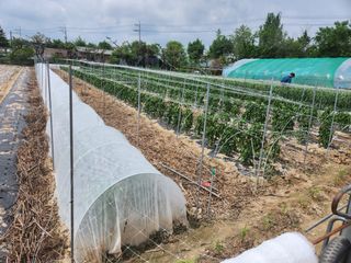 남광님의 자유주제 · 자유게시판 작성글 사진