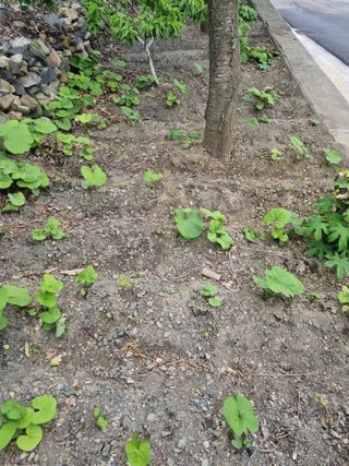 김용대님의 자유주제 · 자유게시판 작성글 사진