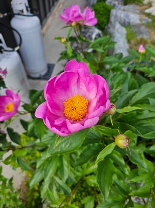 최연재님의 자유주제 · 자유게시판 작성글 사진