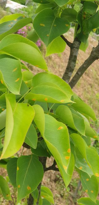 김채현 님의 자유주제 · 자유게시판 작성글 사진