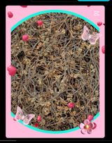 팜모닝 · 게시글 이미지