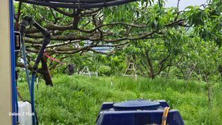 박현주님의 자유주제 · 자유게시판 작성글 사진