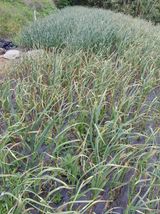 팜모닝 자유주제·자유게시판 게시글 이미지