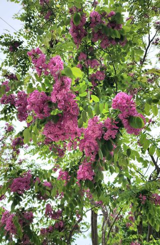 고추건조기부품판매님의 자유주제 · 자유게시판 작성글 사진