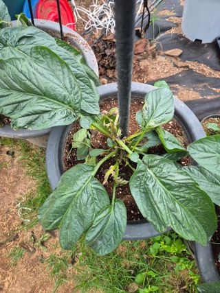 이문규님의 자유주제 · 자유게시판 작성글 사진